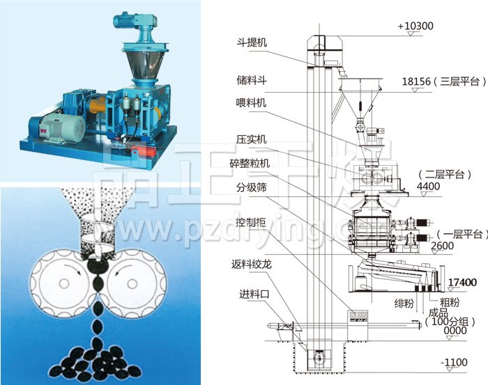 干法輥壓造粒機(jī)結(jié)構(gòu)示意圖